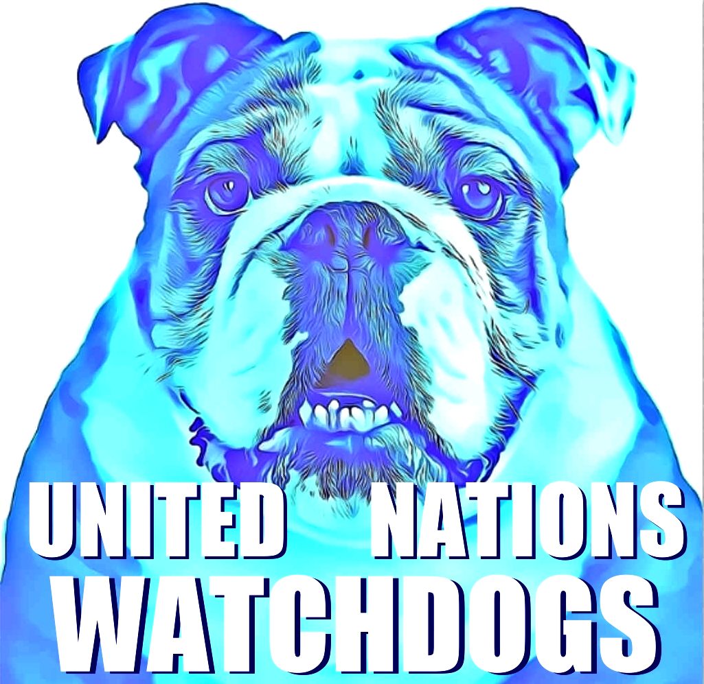 United Nations' Watchdogs