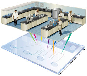 A laboratory diagnosis on a single computer chip