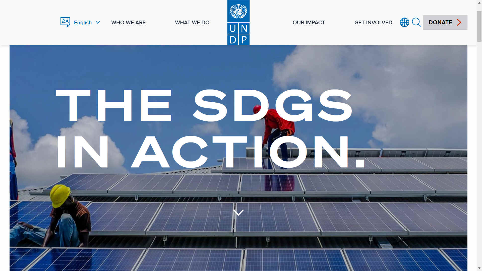 UNDP United Nations Development Programme