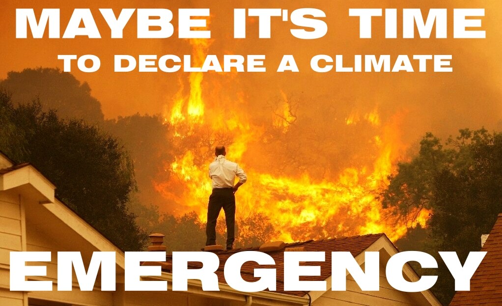 There is no point declaring a climate emergency and carrying on business as usual